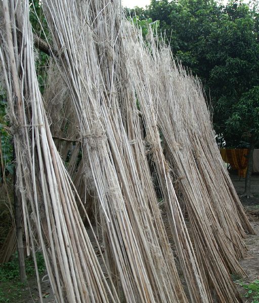 File:Jute.jpeg