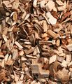 Wood for viscose manufacturing.jpeg